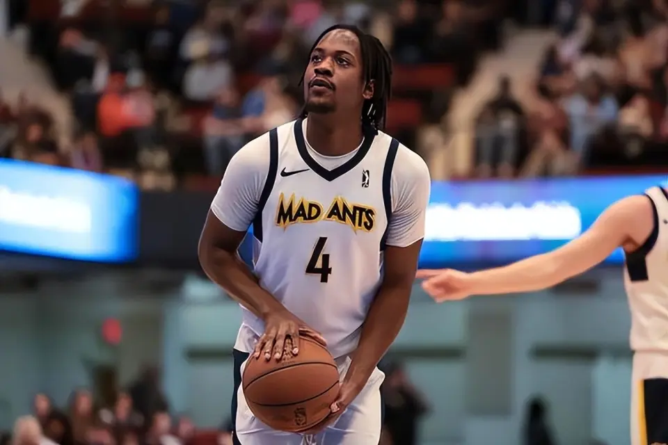 提供了一份 提供了一份